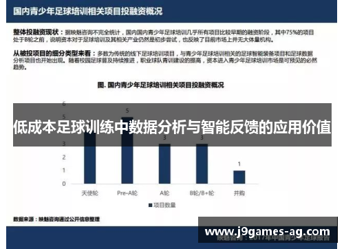 低成本足球训练中数据分析与智能反馈的应用价值